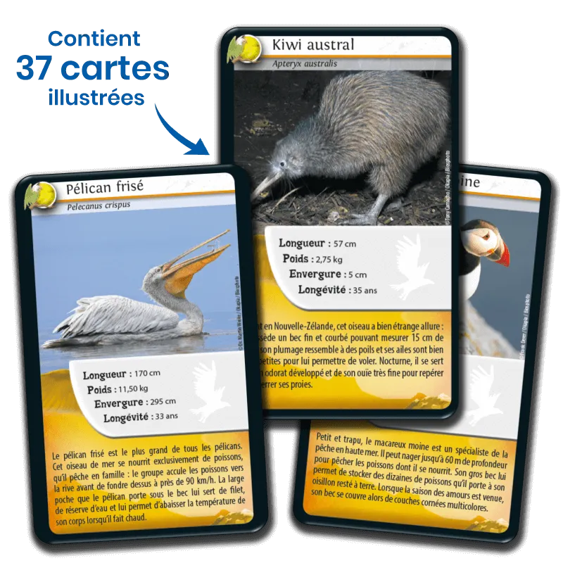 defis-nature-oiseaux-nouvelle-edition (2).webp