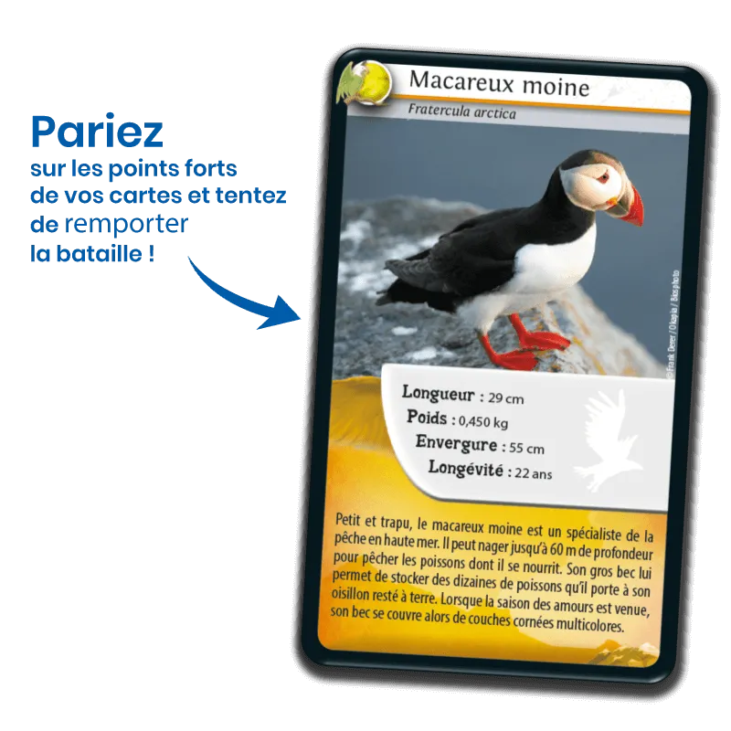 defis-nature-oiseaux-nouvelle-edition (1).webp
