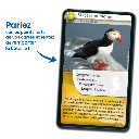 defis-nature-oiseaux-nouvelle-edition (1).webp