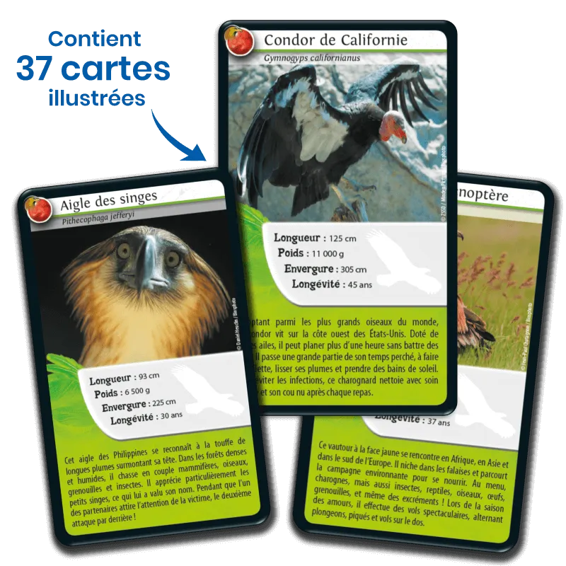 defis-nature-rapaces (2).webp