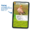 defis-nature-rapaces (1).webp