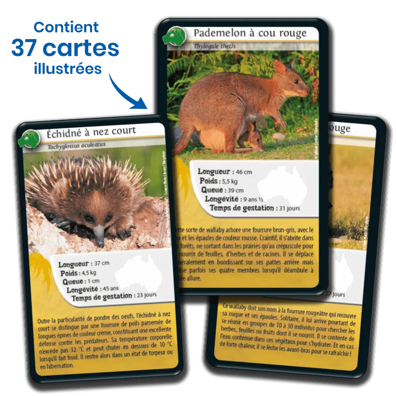 defis-nature-oceanie (2).webp