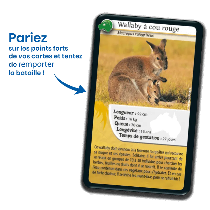 defis-nature-oceanie (1).webp