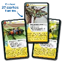 defis-nature-insectes (2).webp