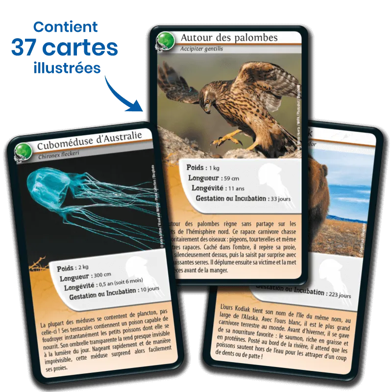 defis-nature-animaux-redoutables (1).webp