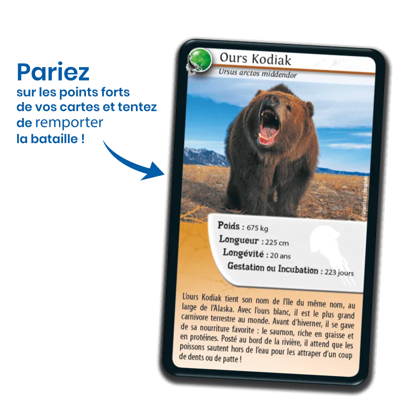 defis-nature-animaux-redoutables (2).webp