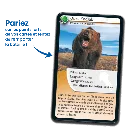 defis-nature-animaux-redoutables (2).webp