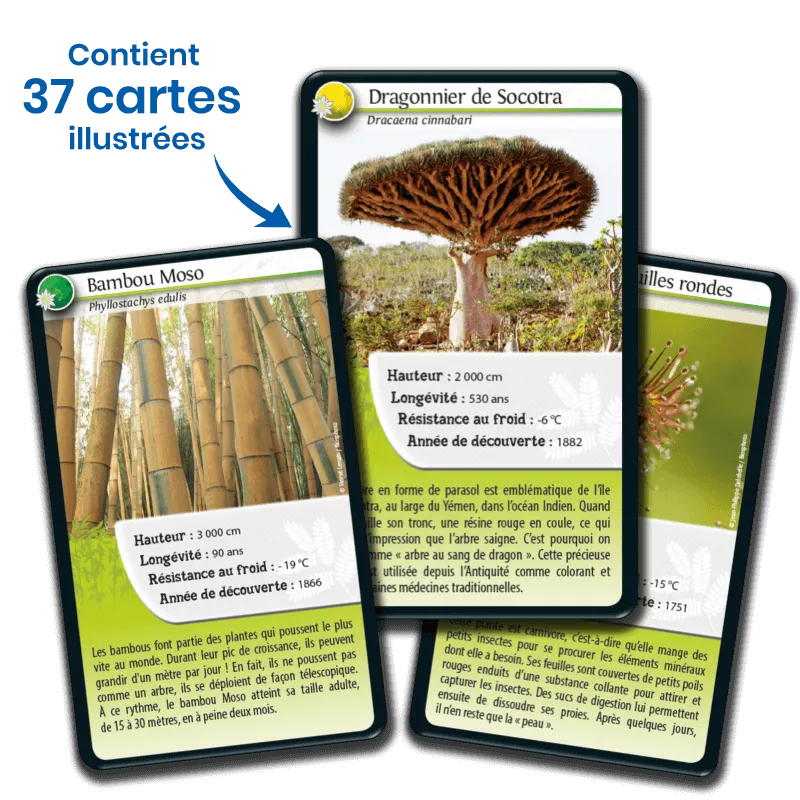 defis-nature-super-pouvoirs-des-plantes (2).webp