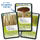 defis-nature-super-pouvoirs-des-plantes (2).webp