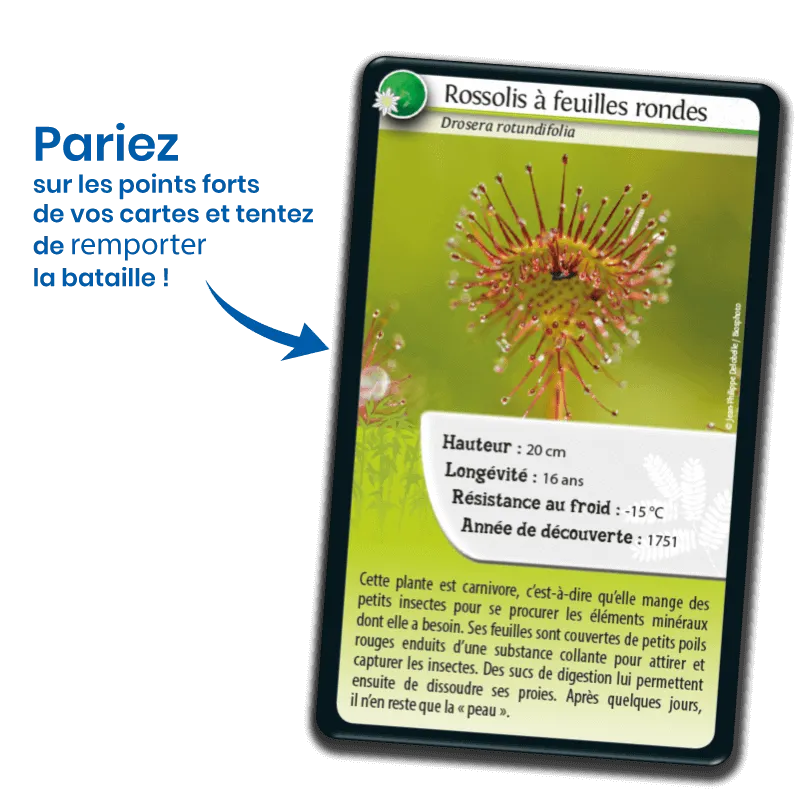 defis-nature-super-pouvoirs-des-plantes (1).webp