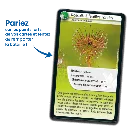 defis-nature-super-pouvoirs-des-plantes (1).webp