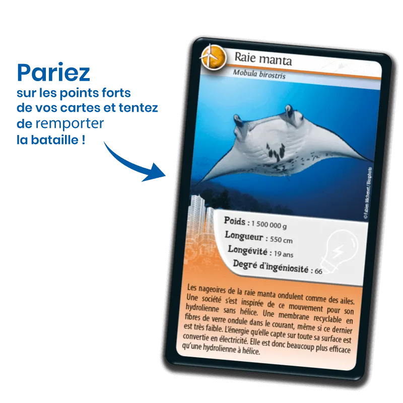 defis-nature-animaux-inspirants (1).webp