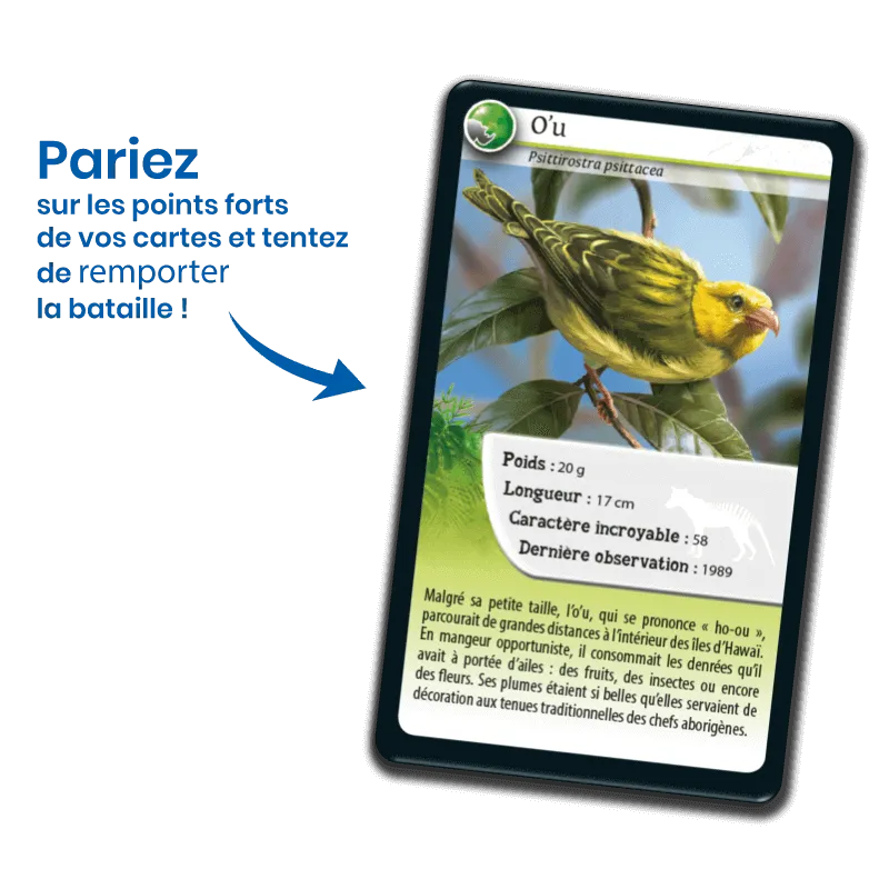 defis-nature-animaux-disparus (1).webp