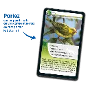 defis-nature-animaux-disparus (1).webp