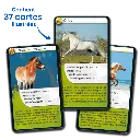 defis-nature-chevaux (2).webp