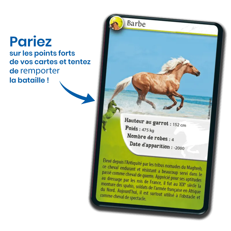 defis-nature-chevaux (1).webp