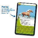 defis-nature-chevaux (1).webp