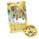 coffret-booster-x3-defis-nature-protect (3).webp