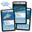 defis-nature-requins (1).webp