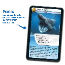 defis-nature-requins (2).webp