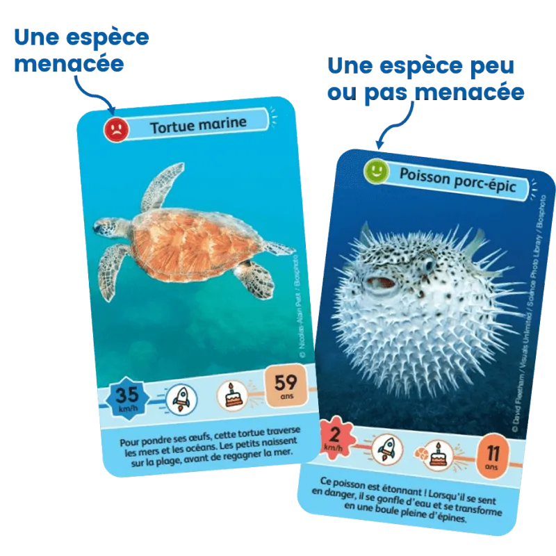 defis-nature-junior-merveilles-de-la-mer (4).webp
