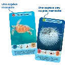 defis-nature-junior-merveilles-de-la-mer (4).webp