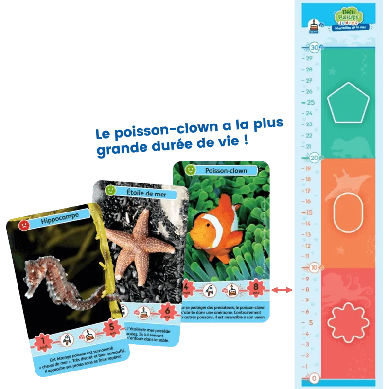 defis-nature-junior-merveilles-de-la-mer (1).webp