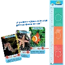 defis-nature-junior-merveilles-de-la-mer (1).webp