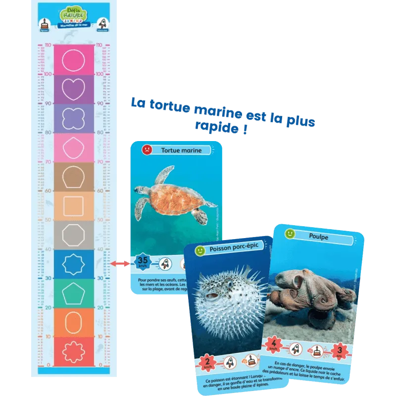 defis-nature-junior-merveilles-de-la-mer (2).webp