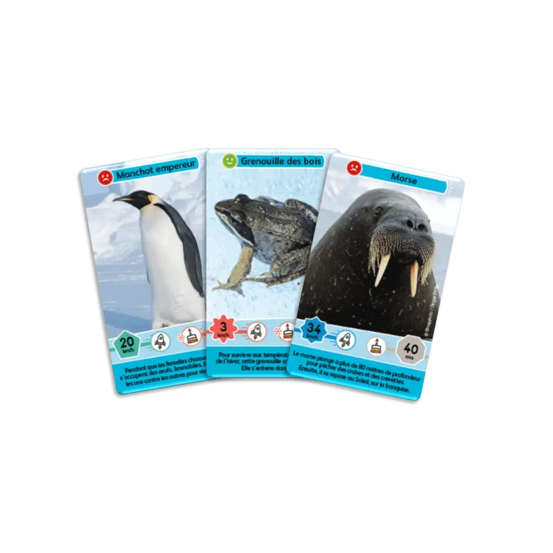 defis-nature-junior-royaumes-du-froid (1).webp