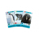 defis-nature-junior-royaumes-du-froid (1).webp