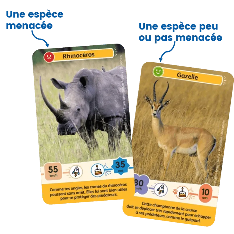 defis-nature-junior-rois-de-la-savane (4).webp