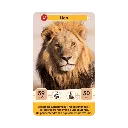 defis-nature-junior-rois-de-la-savane (3).webp