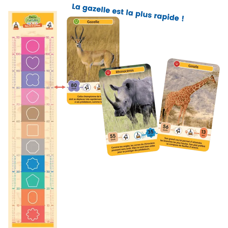 defis-nature-junior-rois-de-la-savane (2).webp