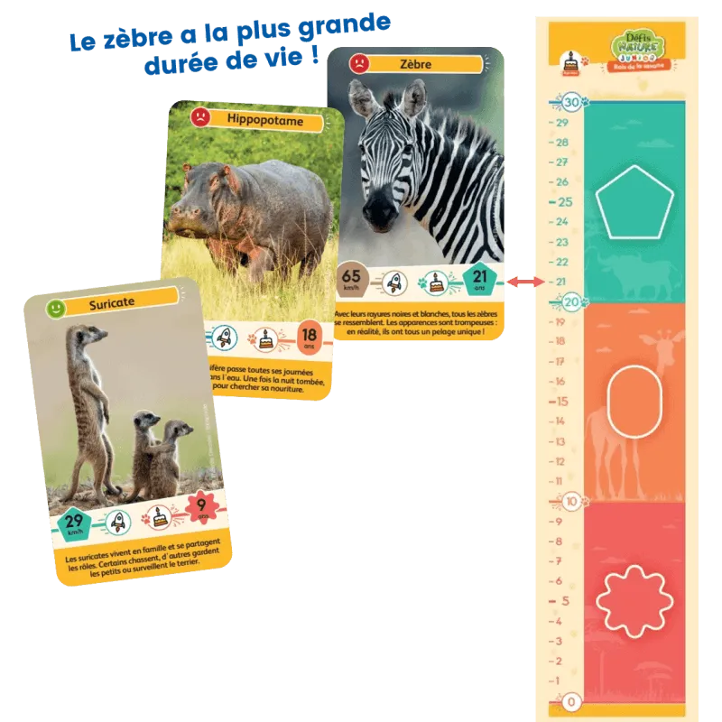 defis-nature-junior-rois-de-la-savane (1).webp