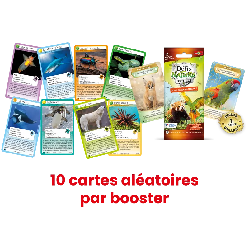 pack-demarrage-defis-nature-protect-edition-aventures-sauvages (2).webp