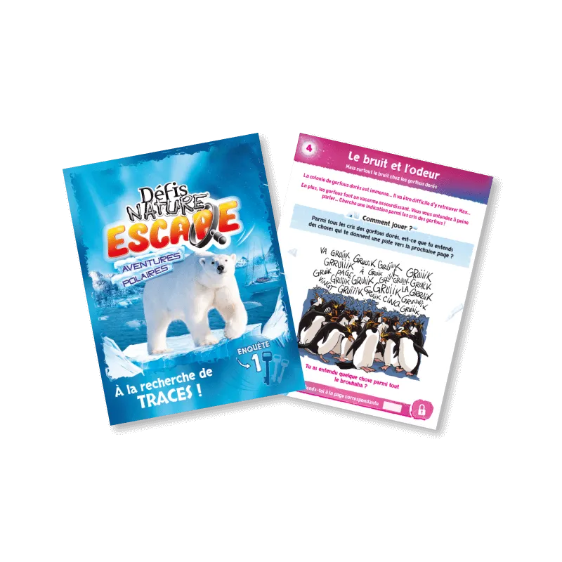 defis-nature-escape-aventures-polaires.webp