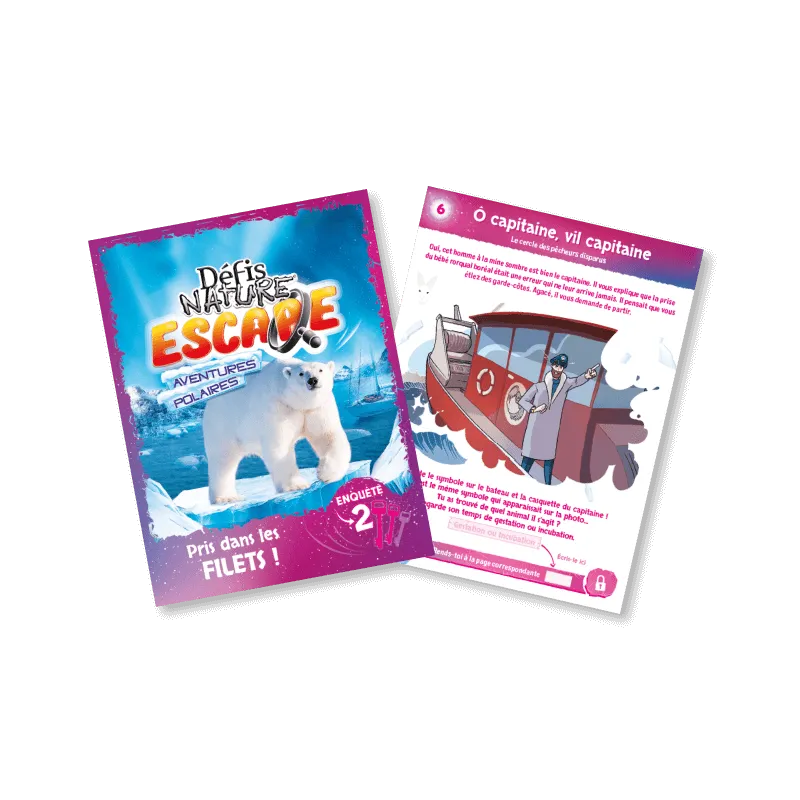 defis-nature-escape-aventures-polaires (1).webp