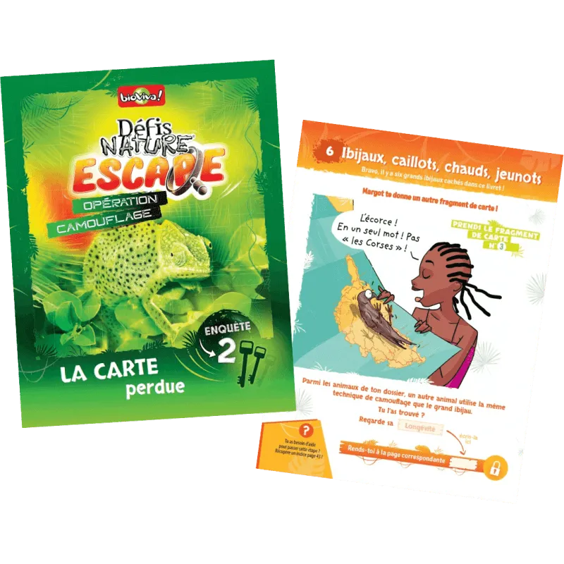 defis-nature-escape-operation-camouflage (2).webp