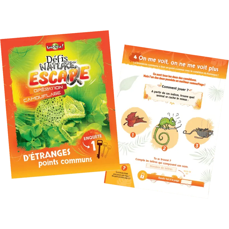 defis-nature-escape-operation-camouflage (3).webp