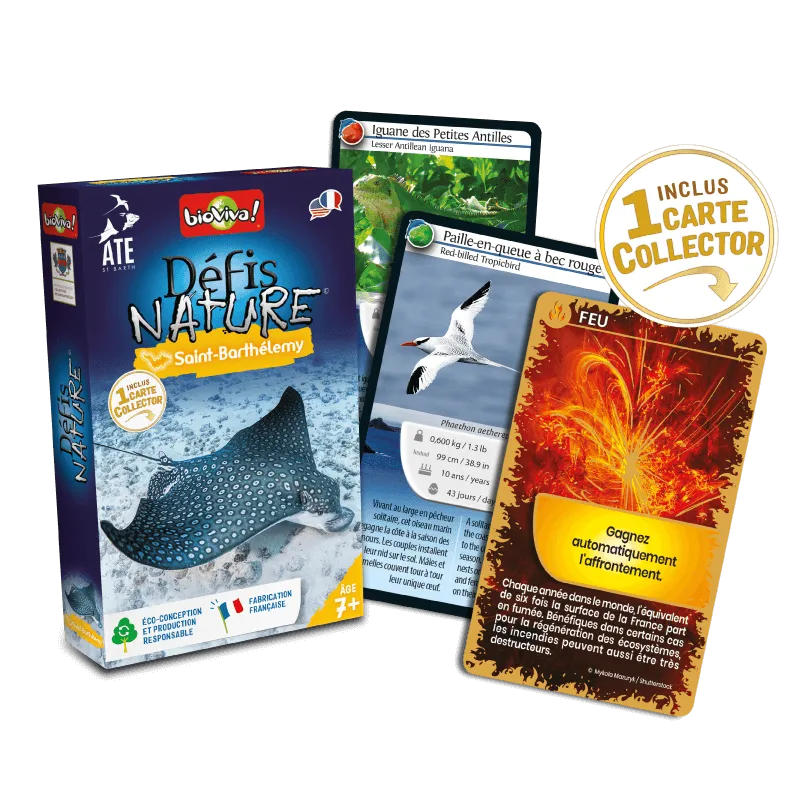 defis-nature-saint-barthelemy (1).webp