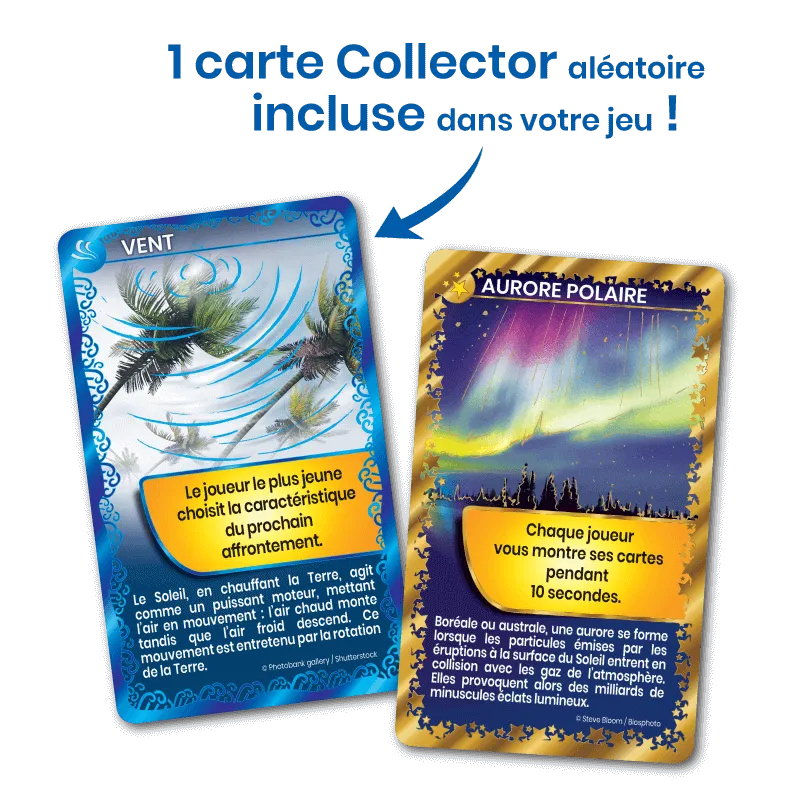 defis-nature-saint-barthelemy (4).webp