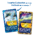 defis-nature-saint-barthelemy (4).webp