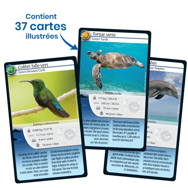 defis-nature-saint-barthelemy (3).webp