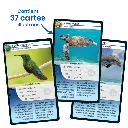 defis-nature-saint-barthelemy (3).webp