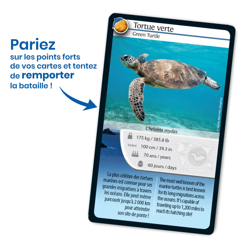 defis-nature-saint-barthelemy (2).webp