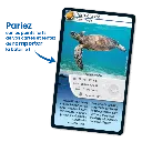 defis-nature-saint-barthelemy (2).webp