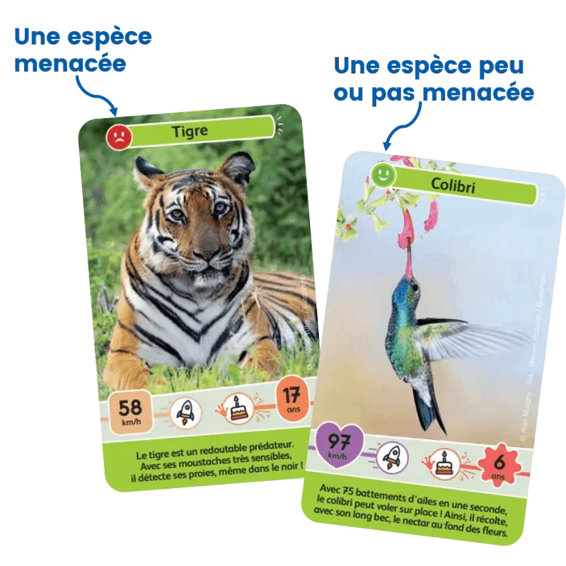 defis-nature-junior-mysteres-de-la-jungle (4).webp