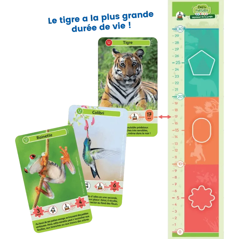 defis-nature-junior-mysteres-de-la-jungle (1).webp
