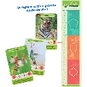 defis-nature-junior-mysteres-de-la-jungle (1).webp